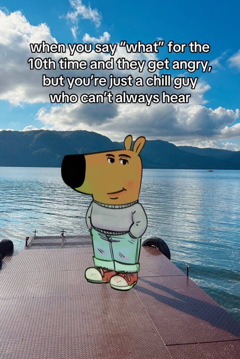 這款 meme 為何被病毒式傳播？關於 Chill Guy 你可能想了解的 7 件事
