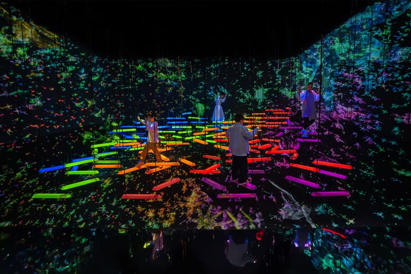 擴大 1.5 倍!teamLab Planets TOKYO 推出全新互動體驗設施