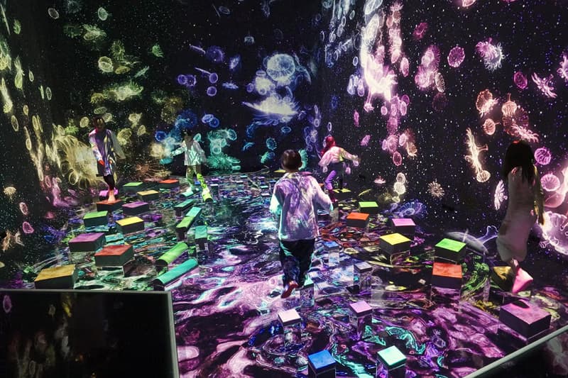 擴大 1.5 倍!teamLab Planets TOKYO 推出全新互動體驗設施