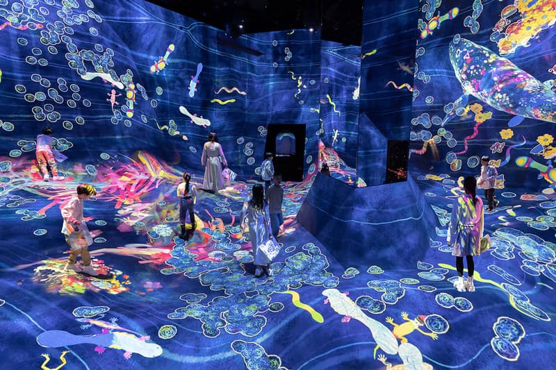 擴大 1.5 倍!teamLab Planets TOKYO 推出全新互動體驗設施