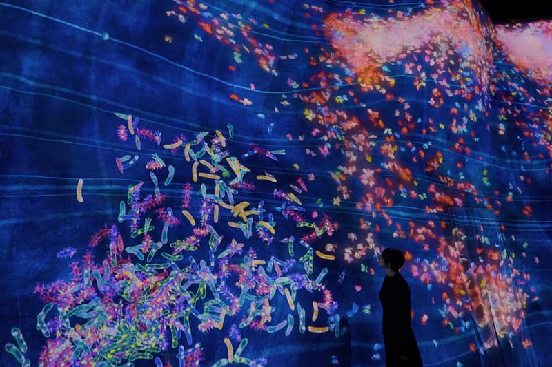 擴大 1.5 倍!teamLab Planets TOKYO 推出全新互動體驗設施